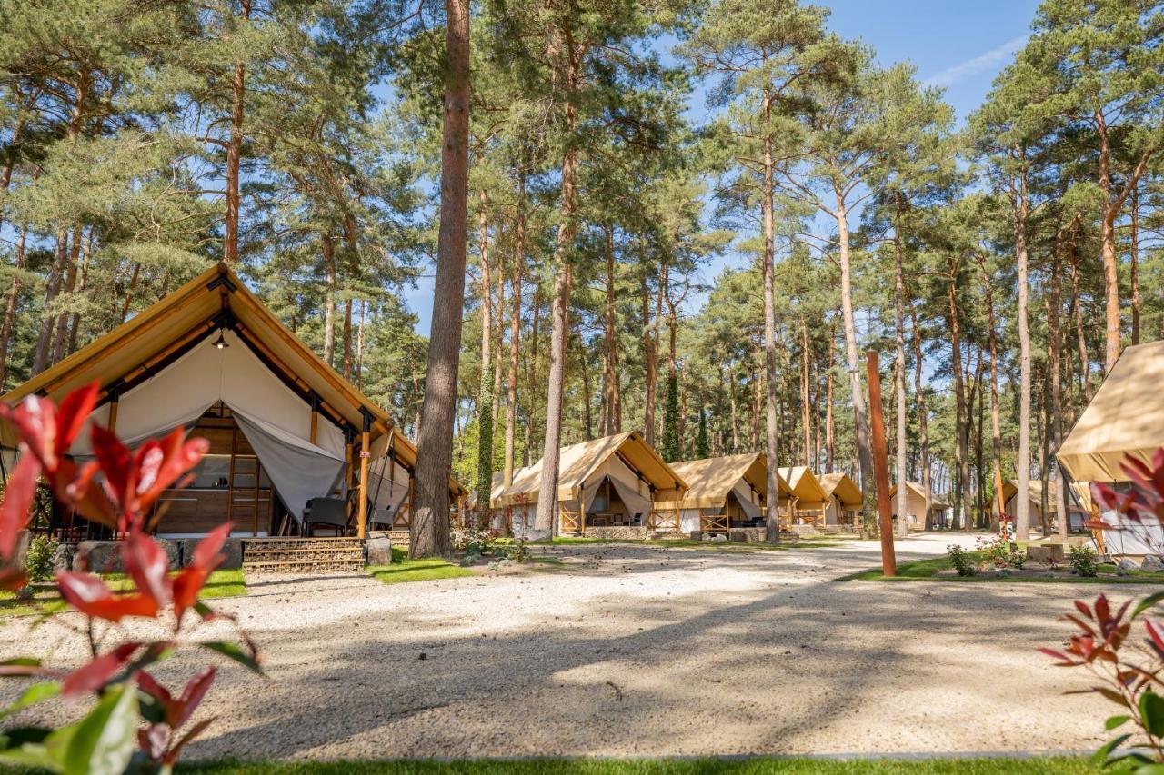 Europarcs Hoge Kempen Zutendaal Oda fotoğraf