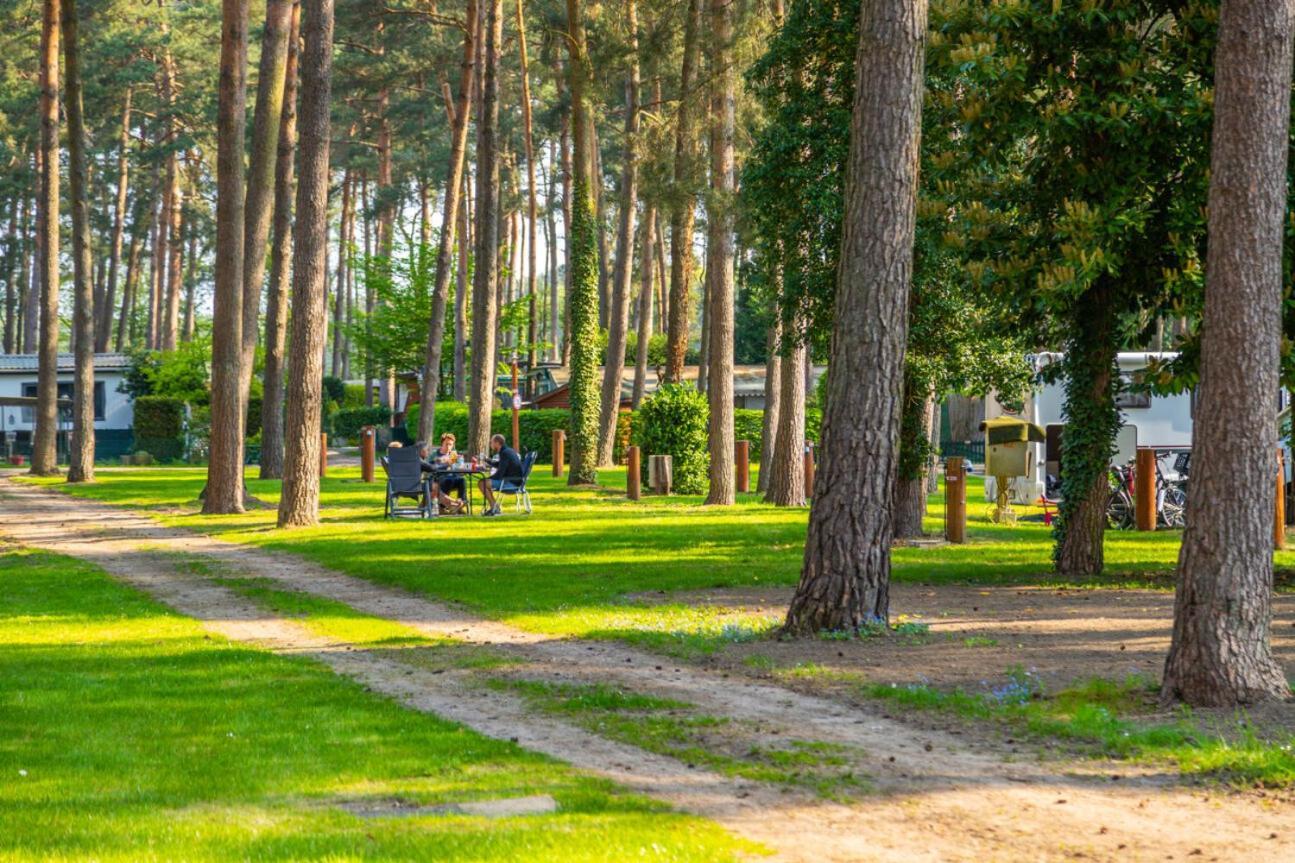 Europarcs Hoge Kempen Zutendaal Dış mekan fotoğraf
