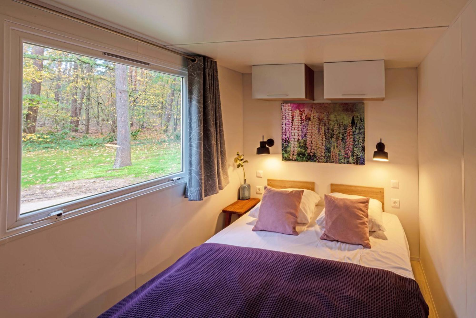 Europarcs Hoge Kempen Zutendaal Oda fotoğraf